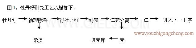 牡丹籽油榨油精煉生產(chǎn)線(圖5)